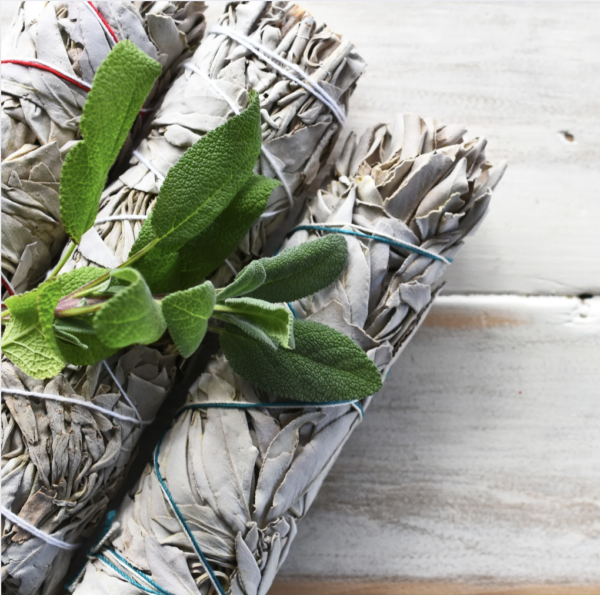 White Sage Smudge Stick